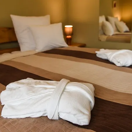 Parkowy Apartment Chojnice