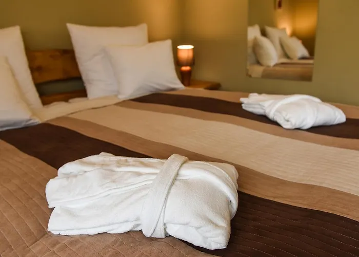 Parkowy Apartmán Chojnice